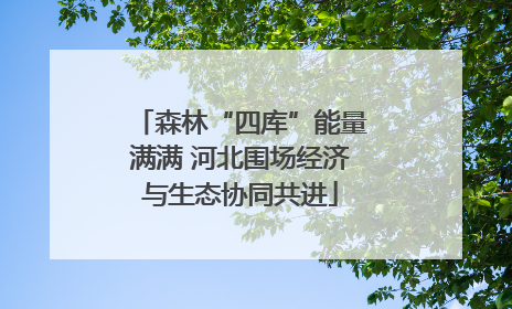森林“四库”能量满满 河北围场经济与生态协同共进