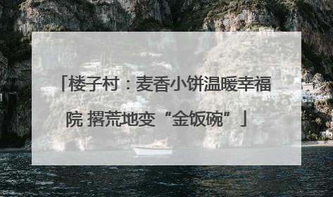 楼子村：麦香小饼温暖幸福院 撂荒地变“金饭碗”