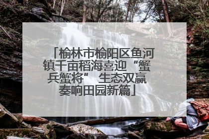 榆林市榆阳区鱼河镇千亩稻海喜迎“蟹兵蟹将” 生态双赢奏响田园新篇