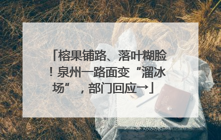 榕果铺路、落叶糊脸！泉州一路面变“溜冰场”，部门回应→