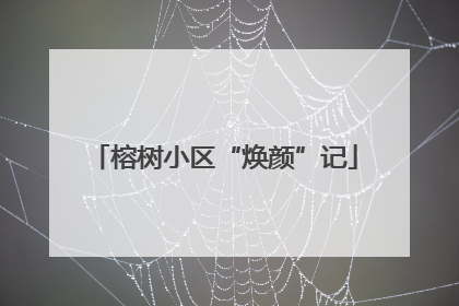 榕树小区“焕颜”记