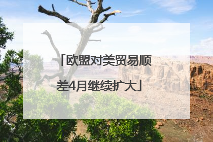 欧盟对美贸易顺差4月继续扩大
