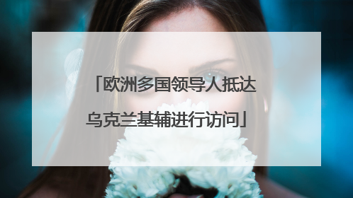 欧洲多国领导人抵达乌克兰基辅进行访问