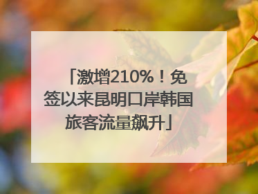 激增210%！免签以来昆明口岸韩国旅客流量飙升