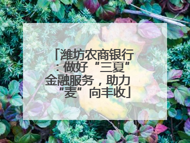 潍坊农商银行：做好“三夏”金融服务，助力“麦”向丰收
