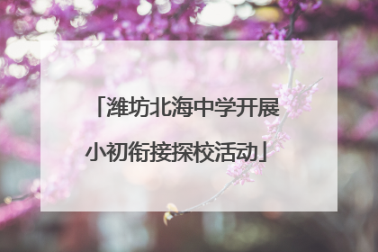 潍坊北海中学开展小初衔接探校活动