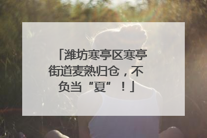 潍坊寒亭区寒亭街道麦熟归仓，不负当“夏”！