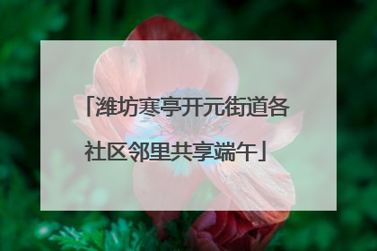 潍坊寒亭开元街道各社区邻里共享端午