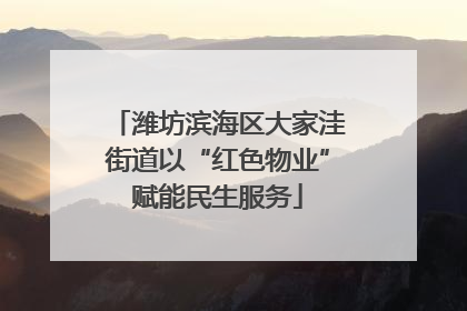 潍坊滨海区大家洼街道以“红色物业”赋能民生服务