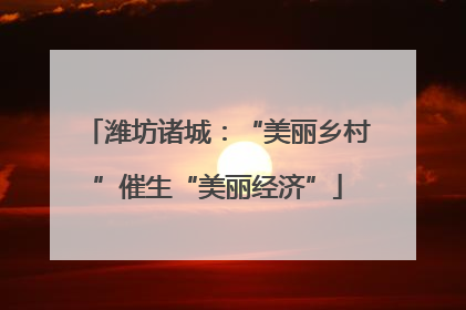 潍坊诸城：“美丽乡村”催生“美丽经济”
