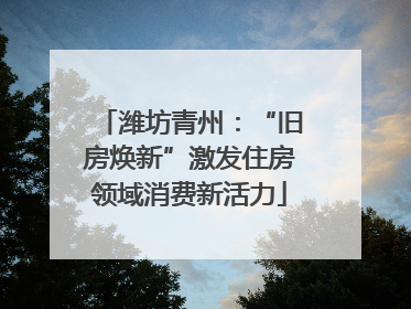 潍坊青州：“旧房焕新”激发住房领域消费新活力