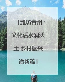 潍坊青州：文化活水润沃土 乡村振兴谱新篇