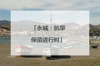永城：抗旱保苗进行时