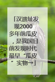汉遗址发现2000多年前瓜皮，是我国目前发现时代最早“瓜皮”实物→