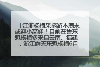 江浙杨梅采摘游本周末或迎小高峰！目前在售东魁杨梅多来自云南、福建，浙江露天东魁杨梅6月中旬大量上市