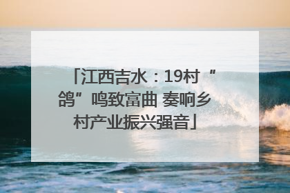 江西吉水：19村“鸽”鸣致富曲 奏响乡村产业振兴强音