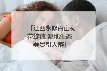 江西永修百亩荷花绽放 湿地生态美景引人醉