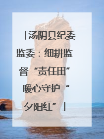 汤阴县纪委监委：细耕监督“责任田” 暖心守护“夕阳红”