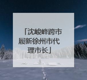 沈峻峰跨市履新徐州市代理市长
