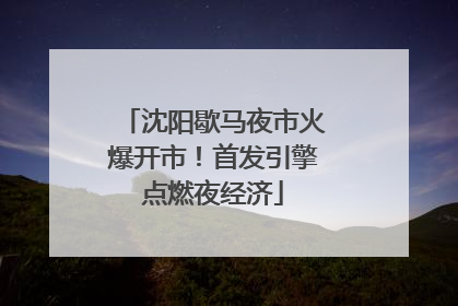 沈阳歇马夜市火爆开市！首发引擎点燃夜经济