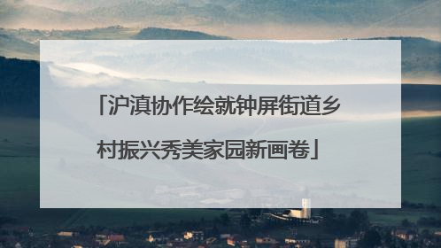 沪滇协作绘就钟屏街道乡村振兴秀美家园新画卷