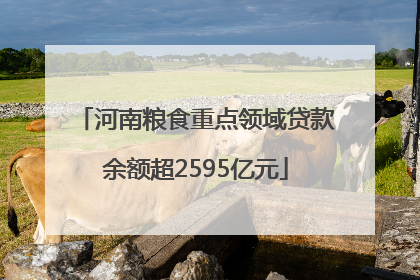 河南粮食重点领域贷款余额超2595亿元