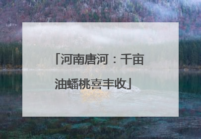 河南唐河：千亩油蟠桃喜丰收