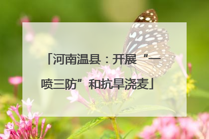 河南温县：开展“一喷三防”和抗旱浇麦