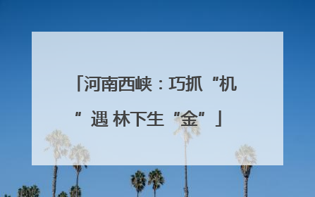 河南西峡：巧抓“机”遇 林下生“金”