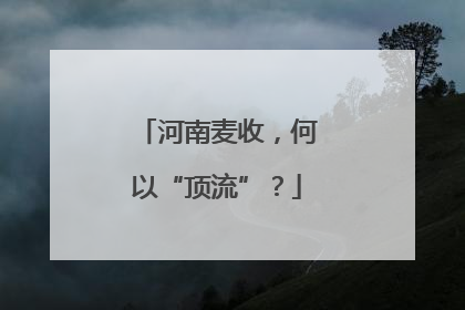 河南麦收，何以“顶流”？