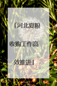 河北夏粮收购工作高效推进