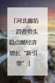 河北廊坊：消费势头稳点燃经济增长“新引擎”