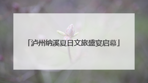 泸州纳溪夏日文旅盛宴启幕