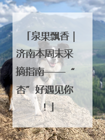 泉果飘香｜济南本周末采摘指南——“杏”好遇见你！
