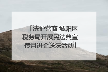 法护营商 城阳区税务局开展民法典宣传月进企送法活动