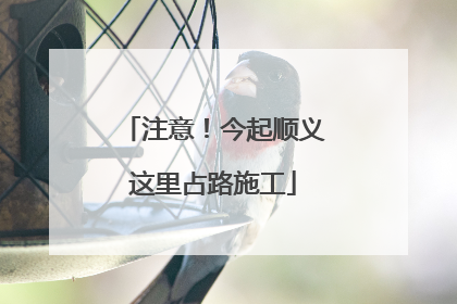 注意！今起顺义这里占路施工