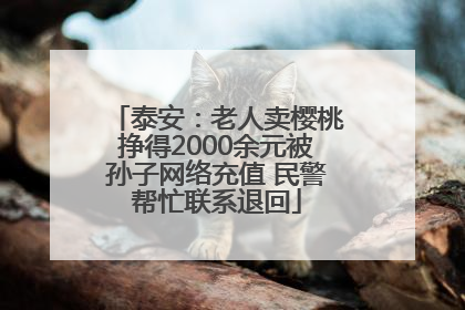 泰安：老人卖樱桃挣得2000余元被孙子网络充值 民警帮忙联系退回
