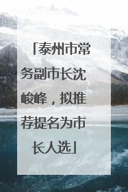 泰州市常务副市长沈峻峰，拟推荐提名为市长人选