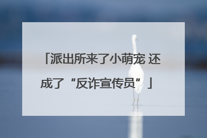 派出所来了小萌宠 还成了“反诈宣传员”