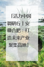 活力中国调研行丨安徽合肥：打造未来产业聚集高地