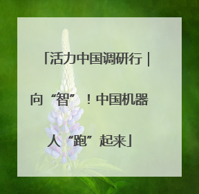 活力中国调研行｜向“智”！中国机器人“跑”起来