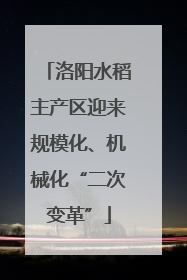 洛阳水稻主产区迎来规模化、机械化“二次变革”