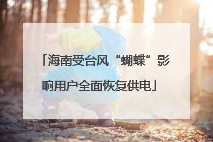 海南受台风“蝴蝶”影响用户全面恢复供电