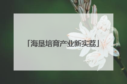 海垦培育产业新实荔