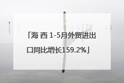 海 西 1-5月外贸进出口同比增长159.2%