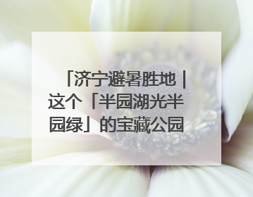 济宁避暑胜地｜这个「半园湖光半园绿」的宝藏公园藏不住了！