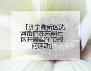 济宁高新区洸河街道在东闸社区开展端午节慰问活动