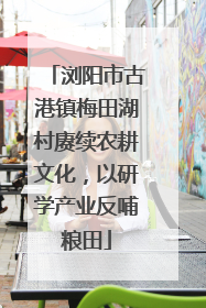 浏阳市古港镇梅田湖村赓续农耕文化，以研学产业反哺粮田