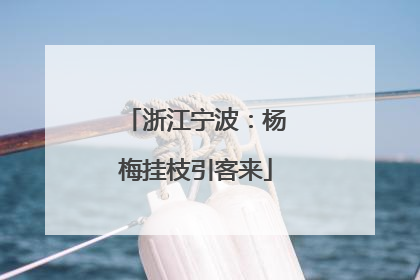 浙江宁波：杨梅挂枝引客来