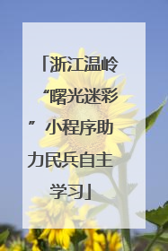 浙江温岭“曙光迷彩”小程序助力民兵自主学习